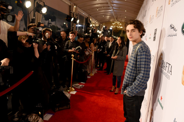 photo 9 in Chalamet gallery [id1321132] 2023-02-02 00:00:00