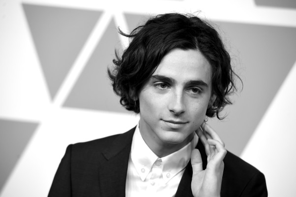 photo 4 in Chalamet gallery [id1325134] 2023-03-31 00:00:00