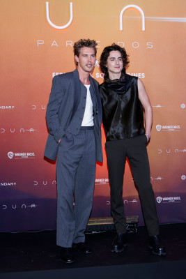 Timothee Chalamet pic #1353509