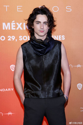 photo 13 in Timothee gallery [id1345459] 2024-03-07 00:00:00