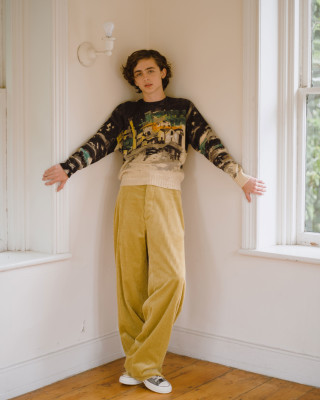 Timothee Chalamet pic #975194
