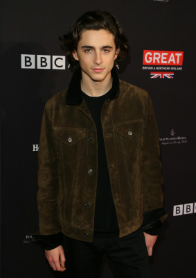 Timothee Chalamet pic #1302618