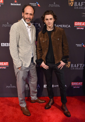 Timothee Chalamet pic #1302619