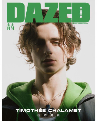 Timothee Chalamet pic #1360526