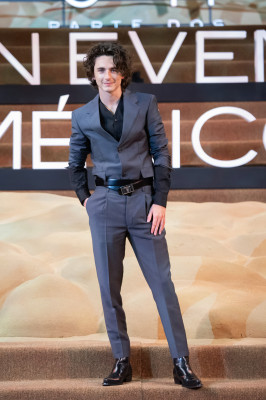 photo 12 in Chalamet gallery [id1345501] 2024-03-07 00:00:00