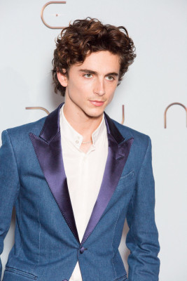 Timothee Chalamet pic #1268102