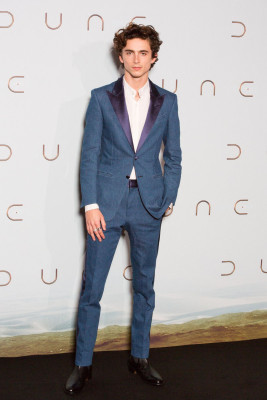Timothee Chalamet pic #1268100
