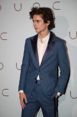 Timothee Chalamet pic #1320243