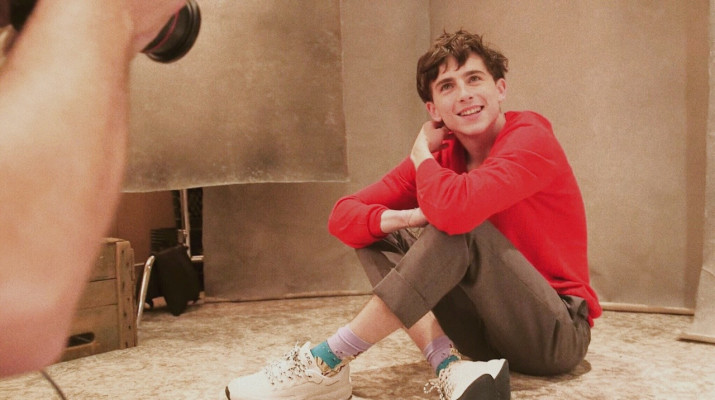 Timothee Chalamet pic #1331751