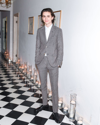 Timothee Chalamet pic #1308989