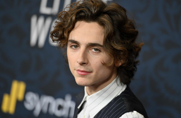 Timothee Chalamet pic #1285544