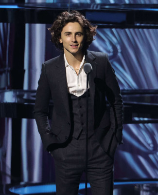 Timothee Chalamet pic #1340986
