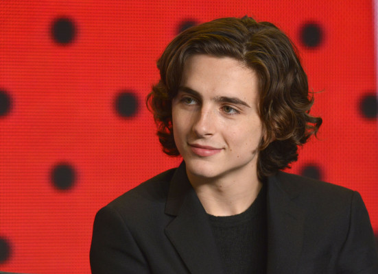 Timothee Chalamet pic #1314209