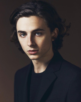 photo 11 in Timothee Chalamet gallery [id1333329] 2023-09-08 00:00:00