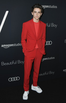 Timothee Chalamet pic #1290515