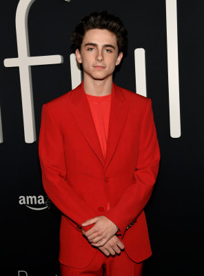 Timothee Chalamet pic #1290521