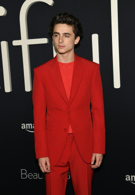 Timothee Chalamet pic #1290519