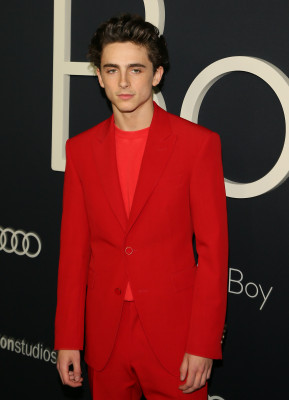 Timothee Chalamet pic #1290517