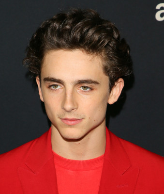 Timothee Chalamet pic #1290527