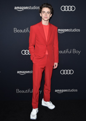 Timothee Chalamet pic #1290526