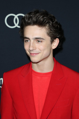 Timothee Chalamet pic #1290516