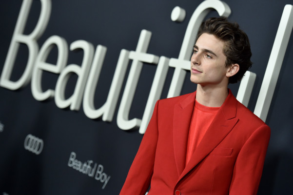 Timothee Chalamet pic #1290524