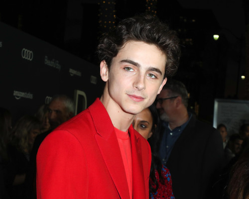 Timothee Chalamet pic #1290523