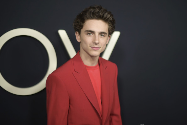 Timothee Chalamet pic #1290532