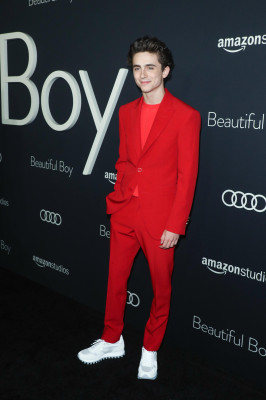 Timothee Chalamet pic #1290514