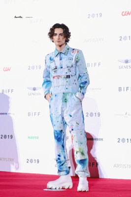 Timothee Chalamet pic #1320543