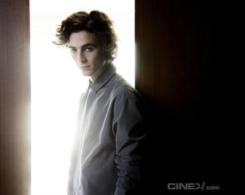 Timothee Chalamet pic #1323145