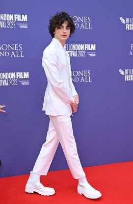 Timothee Chalamet pic #1316294