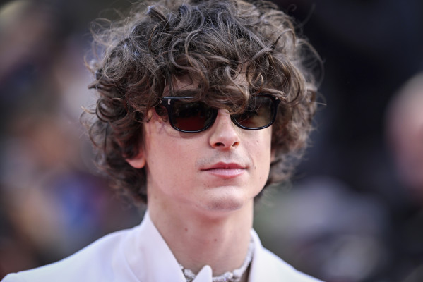 Timothee Chalamet pic #1316293