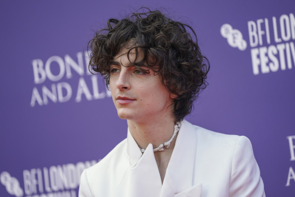 Timothee Chalamet pic #1316292
