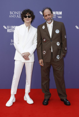 Timothee Chalamet pic #1316290