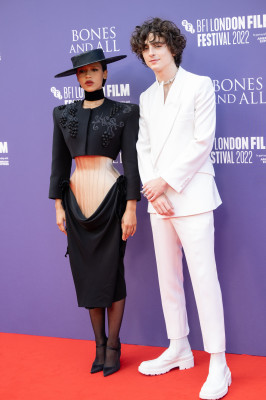 Timothee Chalamet pic #1318767