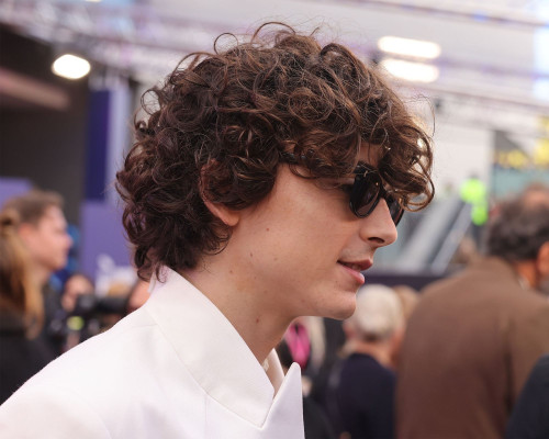 Timothee Chalamet pic #1318766