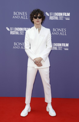 Timothee Chalamet pic #1320752