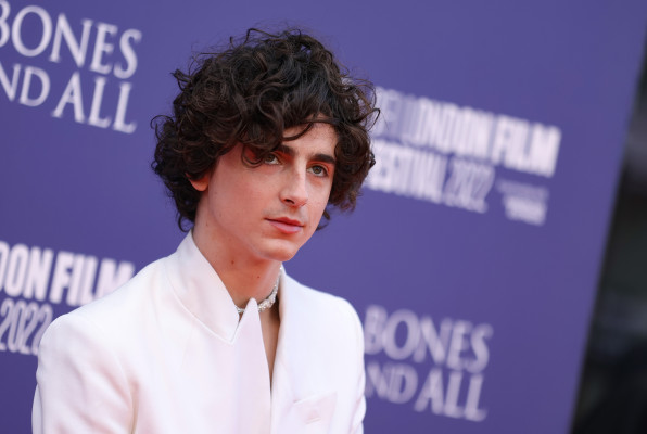 Timothee Chalamet pic #1312930