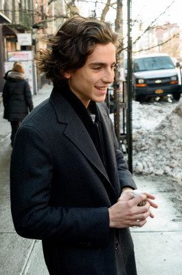 Timothee Chalamet pic #1296640