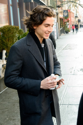 Timothee Chalamet pic #1296639