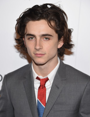 Timothee Chalamet pic #1327404