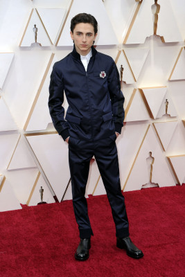 Timothee Chalamet pic #1300198