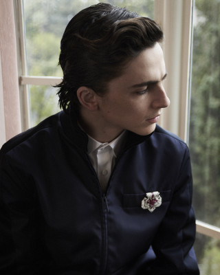 Timothee Chalamet pic #1300215