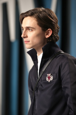 Timothee Chalamet pic #1300080
