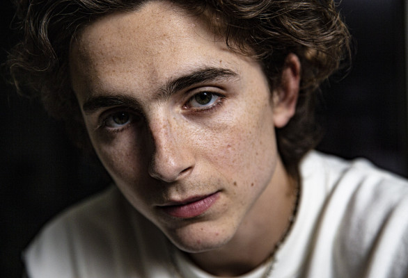 photo 16 in Timothee Chalamet gallery [id1316467] 2022-12-04 00:00:00