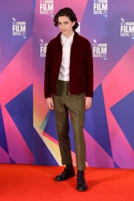 Timothee Chalamet pic #1289714