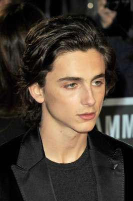 Timothee Chalamet pic #1321018