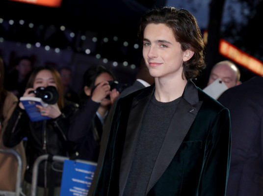 Timothee Chalamet pic #1321017
