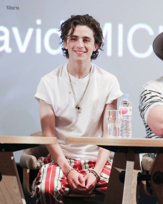 photo 9 in Chalamet gallery [id1324699] 2023-03-25 00:00:00